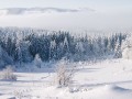 featured_image_3