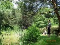 dsc08359