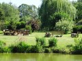 dsc08403